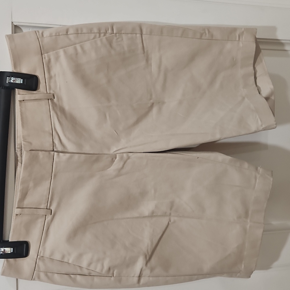 Ann Taylor Boardwalk Flat Front Shorts, Beige,